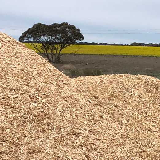 SApine Kuipto South Australia Chips